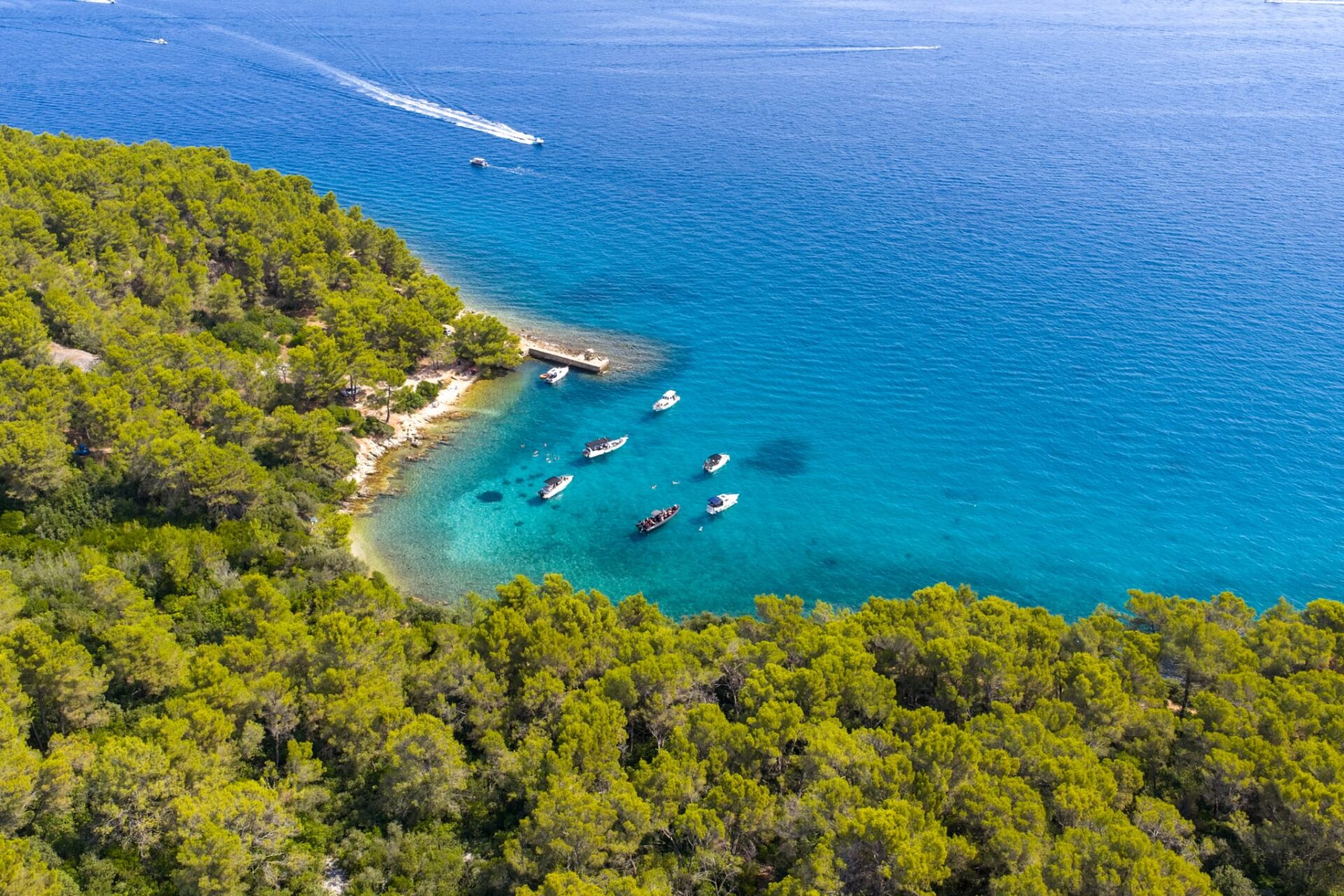Gallery img - https://boattourzadar.sutra-cms.com/wp-content/uploads/2026/05/WhatsApp-Image-2026-05-02-at-12.11.19-7.jpeg